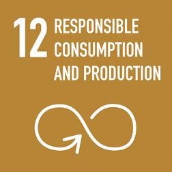 Sustainable Development Goals #12