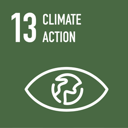 Sustainable Development Goals #13